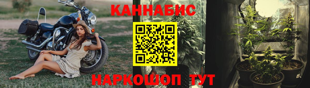 Бошки Шишки тримм  Каннабис индика  Конопля MAZAR  Семёнов  Вход с VPN 